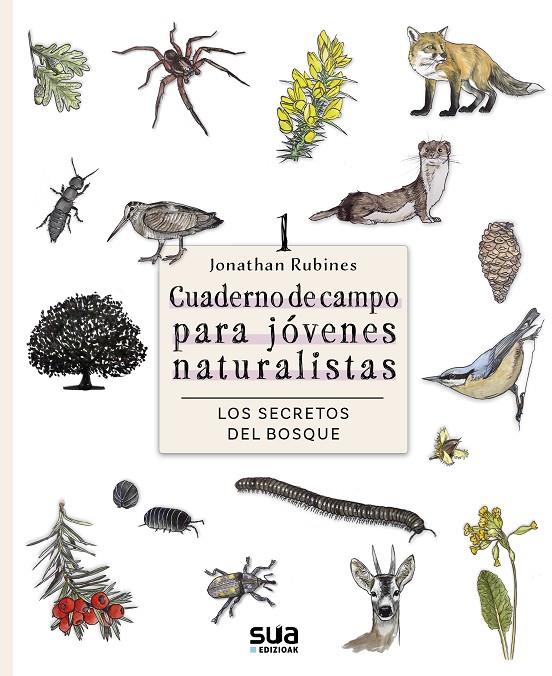 LOS SECRETOS DEL BOSQUE. CUADERNO DE CAMPO PARA JOVENES NATURALISTAS | 9788482168883 | RUBINES GARCÍA, JONATHAN | Galatea Llibres | Llibreria online de Reus, Tarragona | Comprar llibres en català i castellà online