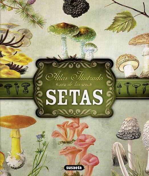 ATLAS ILUSTRADO DE LAS SETAS | 9788467722871 | BECKER, GEORGES/Y OTROS | Galatea Llibres | Llibreria online de Reus, Tarragona | Comprar llibres en català i castellà online