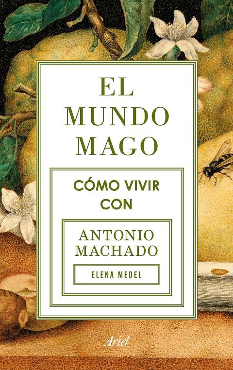 EL MUNDO MAGO | 9788434422353 | MEDEL, ELENA | Galatea Llibres | Llibreria online de Reus, Tarragona | Comprar llibres en català i castellà online