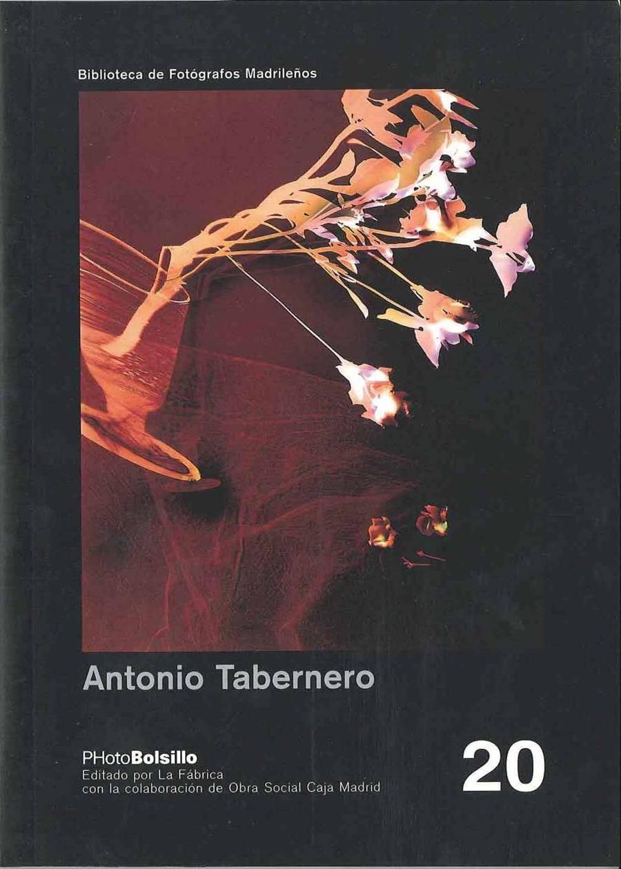 ANTONIO TABERNERO | 9788495471017 | TABERNERO, ANTONIO | Galatea Llibres | Llibreria online de Reus, Tarragona | Comprar llibres en català i castellà online