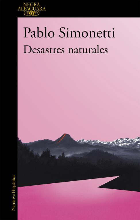 DESASTRES NATURALES | 9788420432595 | SIMONETTI, PABLO | Galatea Llibres | Llibreria online de Reus, Tarragona | Comprar llibres en català i castellà online