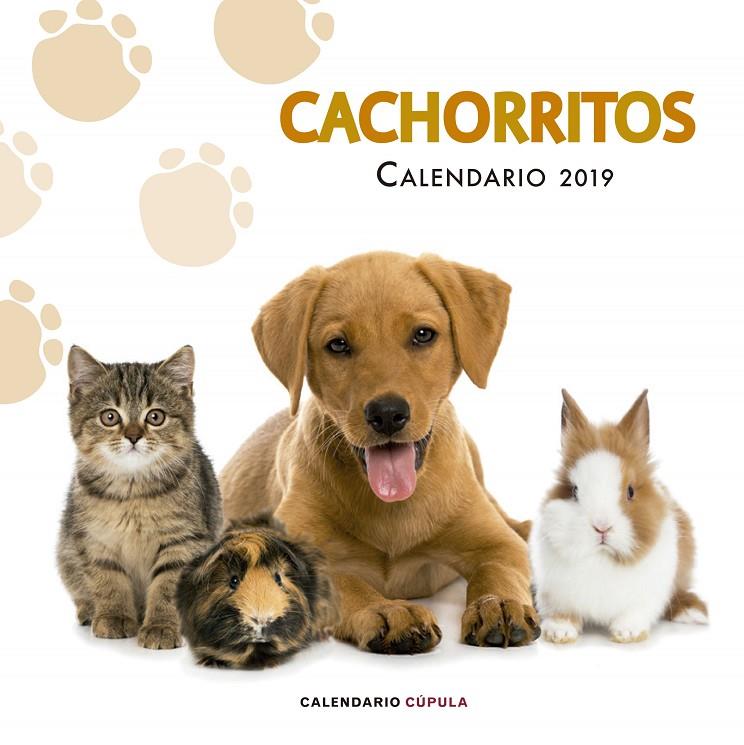 CALENDARIO 2019 CACHORRITOS | 9788448024673 | Galatea Llibres | Llibreria online de Reus, Tarragona | Comprar llibres en català i castellà online