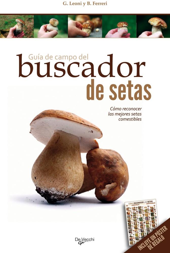 GUIA DE CAMPO DEL BUSCADOR DE SETAS | 9788431550011 | FERRERI, B/LEONI, G | Galatea Llibres | Llibreria online de Reus, Tarragona | Comprar llibres en català i castellà online