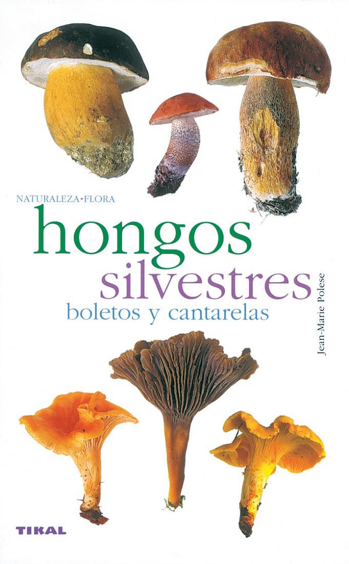 HONGOS SILVESTRES | 9788430553365 | POLESE, JEAN MARIE | Galatea Llibres | Librería online de Reus, Tarragona | Comprar libros en catalán y castellano online