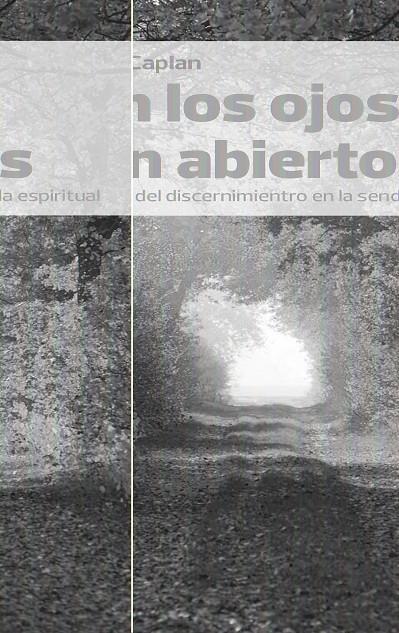 CON LOS OJOS BIEN ABIERTOS | 9788472457607 | CAPLAN, MARIANA | Galatea Llibres | Llibreria online de Reus, Tarragona | Comprar llibres en català i castellà online