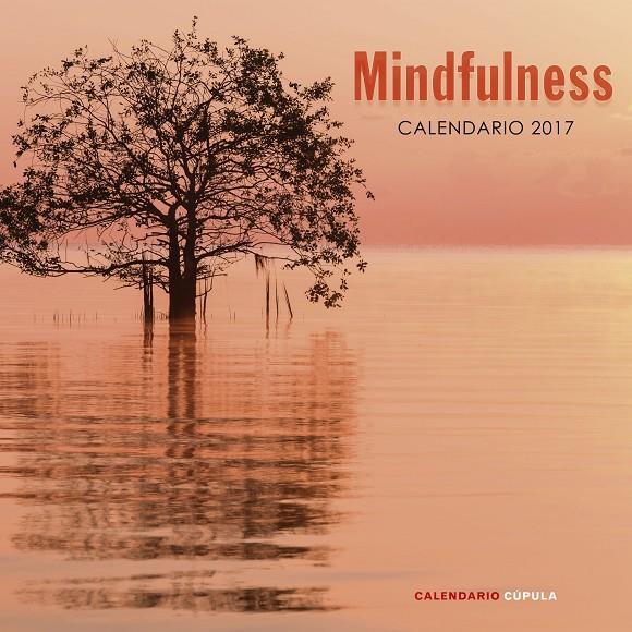 CALENDARIO MINDFULNESS 2017 | 9788448022662 | Galatea Llibres | Llibreria online de Reus, Tarragona | Comprar llibres en català i castellà online