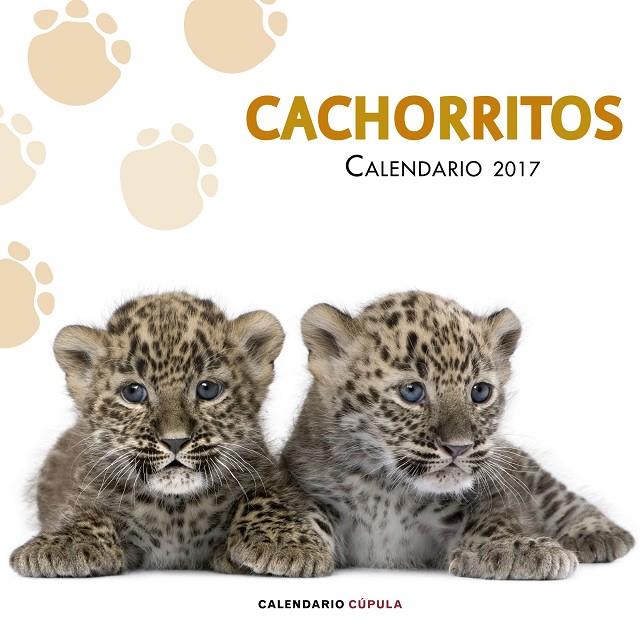 CALENDARIO CACHORRITOS 2017 | 9788448022617 | AA. VV. | Galatea Llibres | Llibreria online de Reus, Tarragona | Comprar llibres en català i castellà online