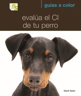 EVALÚA EL CI DE TU PERRO | 9788493662622 | TAYLOR, DAVID | Galatea Llibres | Llibreria online de Reus, Tarragona | Comprar llibres en català i castellà online