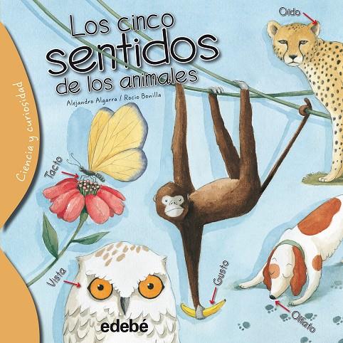 LOS CINCO SENTIDOS DE LOS ANIMALES | 9788468329574 | ALGARRA PUJANTE, ALEJANDRO | Galatea Llibres | Llibreria online de Reus, Tarragona | Comprar llibres en català i castellà online