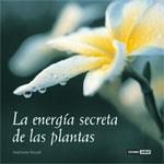 ENERGIA SECRETA DE LAS PLANTAS, LA | 9788475564784 | RUSSELL, STEPHANIE | Galatea Llibres | Llibreria online de Reus, Tarragona | Comprar llibres en català i castellà online