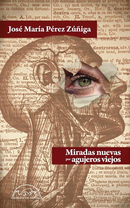 MIRADAS NUEVAS POR AGUJEROS VIEJOS | 9788483931554 | PÉREZ ZÚÑIGA, JOSÉ MARÍA | Galatea Llibres | Librería online de Reus, Tarragona | Comprar libros en catalán y castellano online