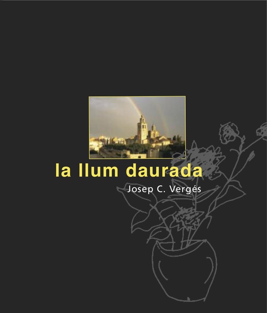 LA LLUM DAURADA | 9788492607990 | VERGÉS, JOSEP | Galatea Llibres | Llibreria online de Reus, Tarragona | Comprar llibres en català i castellà online