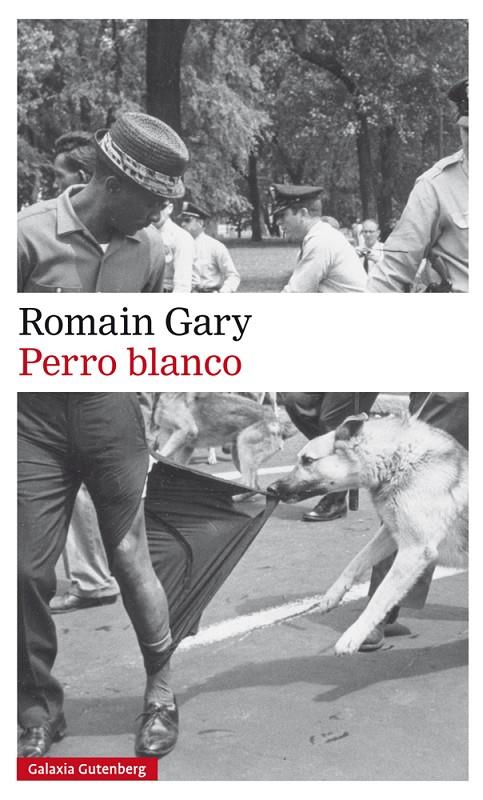 PERRO BLANCO | 9788417355586 | GARY, ROMAIN | Galatea Llibres | Llibreria online de Reus, Tarragona | Comprar llibres en català i castellà online