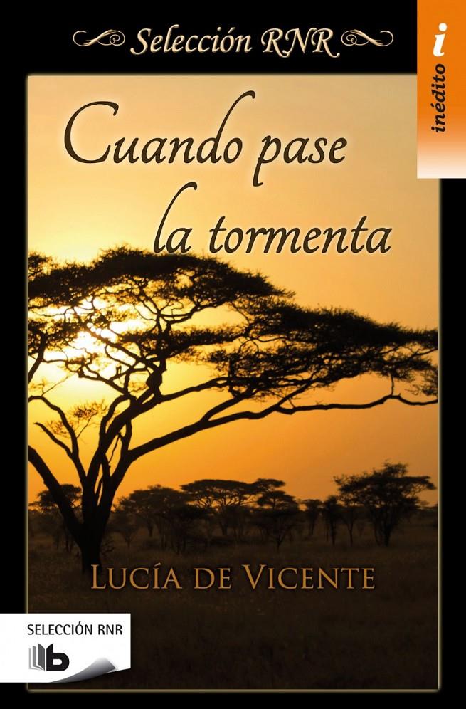 CUANDO PASE LA TORMENTA | 9788490702543 | DE VICENTE, LUCÍA | Galatea Llibres | Llibreria online de Reus, Tarragona | Comprar llibres en català i castellà online