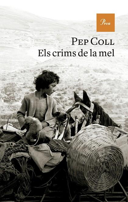 ELS CRIMS DE LA MEL | 9788419657930 | COLL, PEP | Galatea Llibres | Librería online de Reus, Tarragona | Comprar libros en catalán y castellano online