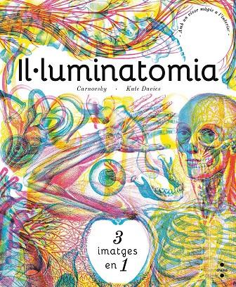 IL·LUMINATOMIA | 9788466143240 | DAVIES, KATE | Galatea Llibres | Llibreria online de Reus, Tarragona | Comprar llibres en català i castellà online