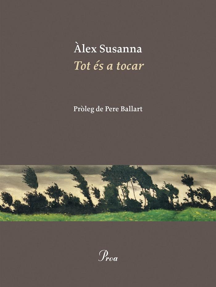 TOT ÉS A TOCAR | 9788410488045 | SUSANNA NADAL, ÀLEX | Galatea Llibres | Llibreria online de Reus, Tarragona | Comprar llibres en català i castellà online