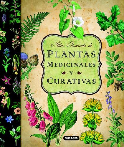 ATLAS ILUSTRADO DE PLANTAS MEDICINALES Y CURATIVAS | 9788467712575 | VV.AA. | Galatea Llibres | Llibreria online de Reus, Tarragona | Comprar llibres en català i castellà online