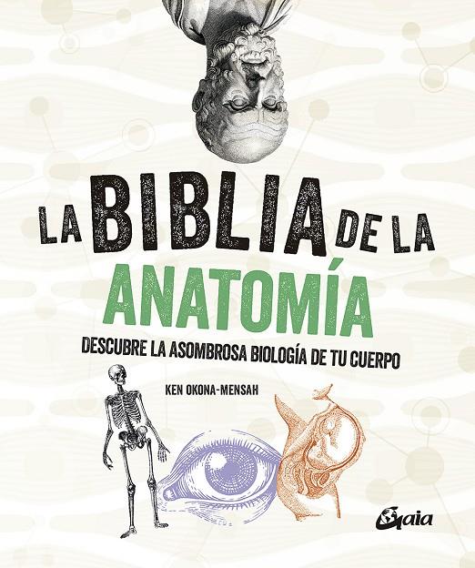 LA BIBLIA DE LA ANATOMÍA | 9788484459521 | OKONA-MENSAH, KEN | Galatea Llibres | Llibreria online de Reus, Tarragona | Comprar llibres en català i castellà online