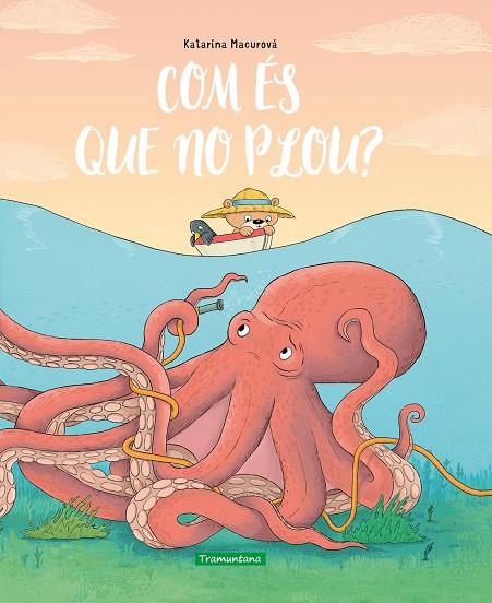 COM ÉS QUE NO PLOU? | 9788418520426 | MACUROVÁ, KATARÍNA | Galatea Llibres | Librería online de Reus, Tarragona | Comprar libros en catalán y castellano online