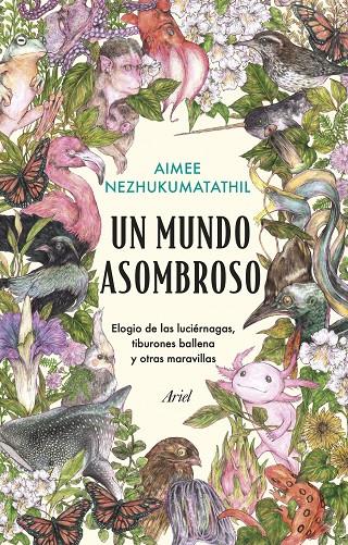 UN MUNDO ASOMBROSO | 9788434435582 | NEZHUKUMATATHIL, AIMEE | Galatea Llibres | Llibreria online de Reus, Tarragona | Comprar llibres en català i castellà online