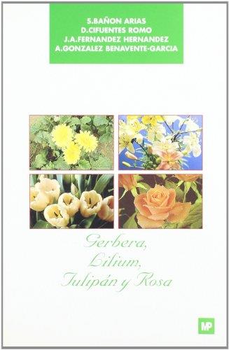 GERBERA, LILIUM, TULIPAN Y ROSA | 9788471144461 | BAÑON ARIAS, ETC | Galatea Llibres | Llibreria online de Reus, Tarragona | Comprar llibres en català i castellà online