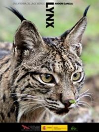 LYNX EN LA TIERRA DEL LINCE IBERICO | 9788449114205 | CANELA, ANDONI | Galatea Llibres | Llibreria online de Reus, Tarragona | Comprar llibres en català i castellà online