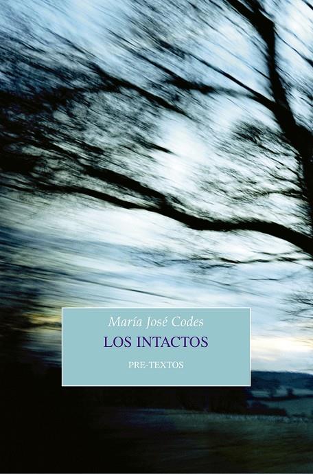 LOS INTACTOS | 9788417143015 | CODES, MARíA JOSé | Galatea Llibres | Llibreria online de Reus, Tarragona | Comprar llibres en català i castellà online