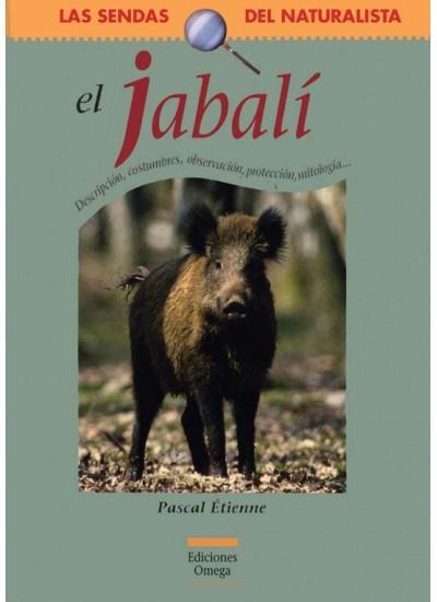 JABALI, EL | 9788428213929 | ETIENNE, PASCAL | Galatea Llibres | Llibreria online de Reus, Tarragona | Comprar llibres en català i castellà online