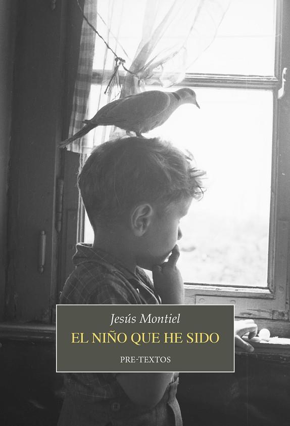 EL NIÑO QUE HE SIDO | 9788419633835 | MONTIEL, JESÚS | Galatea Llibres | Llibreria online de Reus, Tarragona | Comprar llibres en català i castellà online