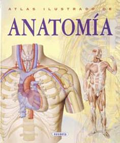 ATLAS ILUSTRADO DE ANATOMIA | 9788430534784 | AAVV | Galatea Llibres | Librería online de Reus, Tarragona | Comprar libros en catalán y castellano online