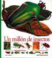 MILLON DE INSECTOS, UN.MUNDO MARAVILLOSO | 9788434852051 | ALBOUY, VICENT/DE SAIRIGNÉ-BON, CATHERINE | Galatea Llibres | Llibreria online de Reus, Tarragona | Comprar llibres en català i castellà online