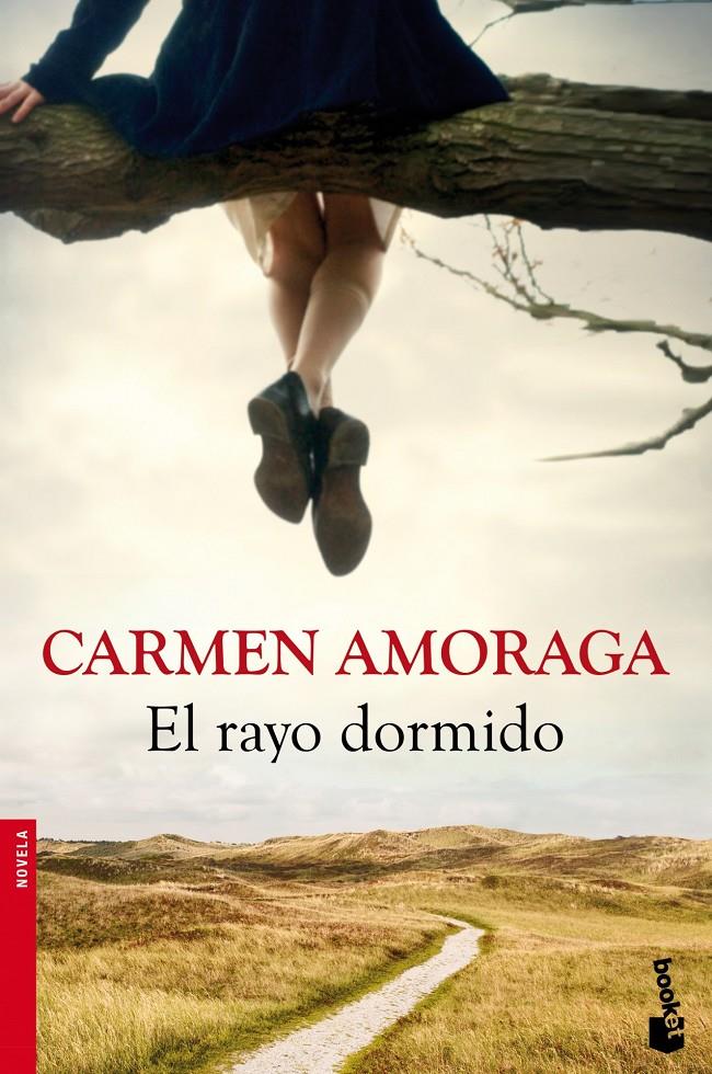 EL RAYO DORMIDO | 9788423346714 | AMORAGA, CARMEN | Galatea Llibres | Librería online de Reus, Tarragona | Comprar libros en catalán y castellano online