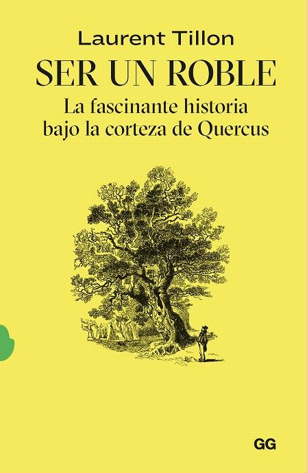 SER UN ROBLE | 9788425235054 | TILLON, LAURENT | Galatea Llibres | Llibreria online de Reus, Tarragona | Comprar llibres en català i castellà online