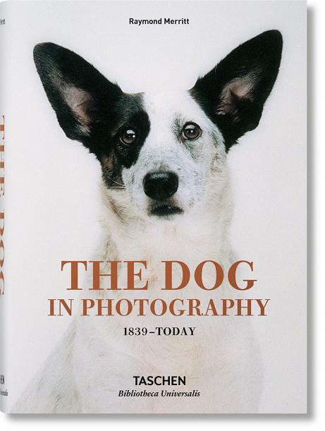 THE DOG IN PHOTOGRAPHY 1839-TODAY | 9783836567473 | Galatea Llibres | Llibreria online de Reus, Tarragona | Comprar llibres en català i castellà online