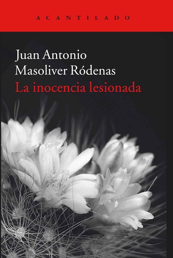 LA INOCENCIA LESIONADA | 9788416011933 | MASOLIVER RÓDENAS, JUAN ANTONIO | Galatea Llibres | Llibreria online de Reus, Tarragona | Comprar llibres en català i castellà online