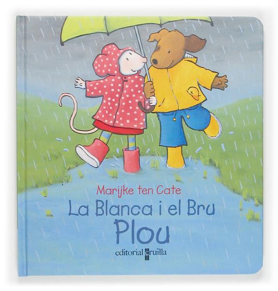 BLANCA I EL BRU, LA. PLOU | 9788466112260 | TEN CATE, MARIJKE | Galatea Llibres | Llibreria online de Reus, Tarragona | Comprar llibres en català i castellà online