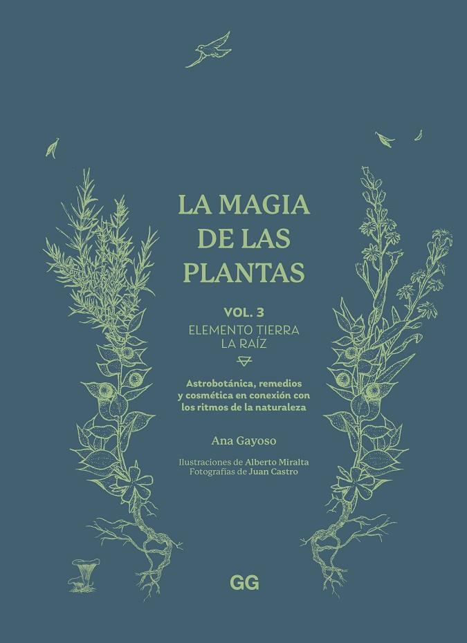 LA MAGIA DE LAS PLANTAS | 9788425235627 | GAYOSO, ANA | Galatea Llibres | Llibreria online de Reus, Tarragona | Comprar llibres en català i castellà online