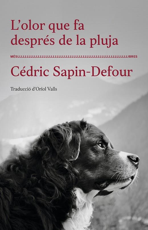 L'OLOR QUE FA DESPRÉS DE LA PLUJA | 9788417353568 | CÉDRIC SAPIN-DEFOUR | Galatea Llibres | Llibreria online de Reus, Tarragona | Comprar llibres en català i castellà online