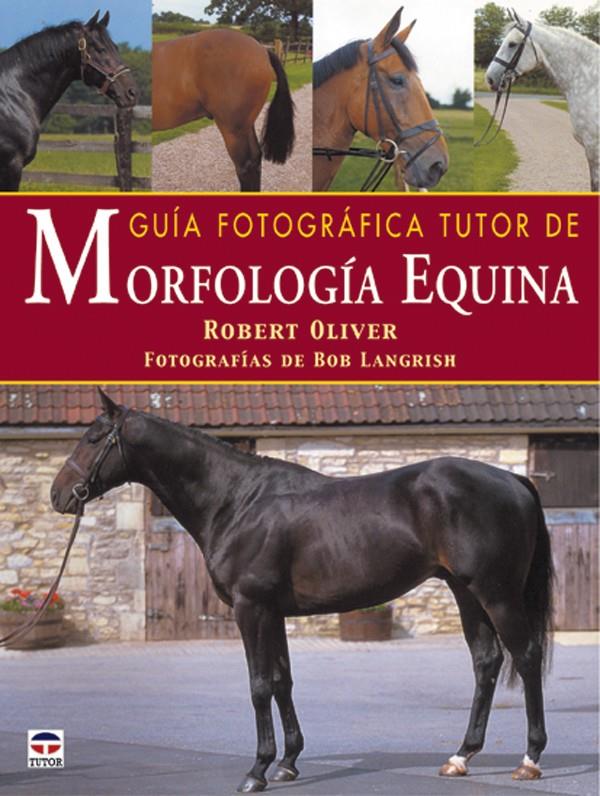 GUIA FOTOGRAFICA TUTOR DE MORFOLOGIA EQUINA | 9788479024123 | OLIVER, ROBERT | Galatea Llibres | Llibreria online de Reus, Tarragona | Comprar llibres en català i castellà online