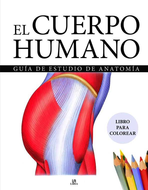 EL CUERPO HUMANO. GUÍA DE ESTUDIO DE ANATOMÍA | 9788466243940 | Galatea Llibres | Librería online de Reus, Tarragona | Comprar libros en catalán y castellano online