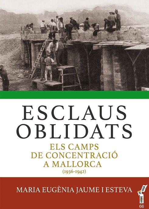 ESCLAUS OBLIDATS | 9788417113643 | JAUME I ESTEVA, MARIA EUGÈNIA | Galatea Llibres | Librería online de Reus, Tarragona | Comprar libros en catalán y castellano online