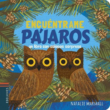 PÁJAROS | 9788414025154 | MARSHALL, NATALIE | Galatea Llibres | Llibreria online de Reus, Tarragona | Comprar llibres en català i castellà online