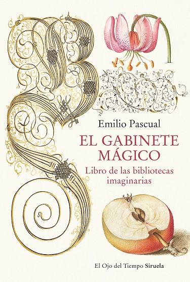 EL GABINETE MÁGICO | 9788419553041 | PASCUAL, EMILIO | Galatea Llibres | Llibreria online de Reus, Tarragona | Comprar llibres en català i castellà online