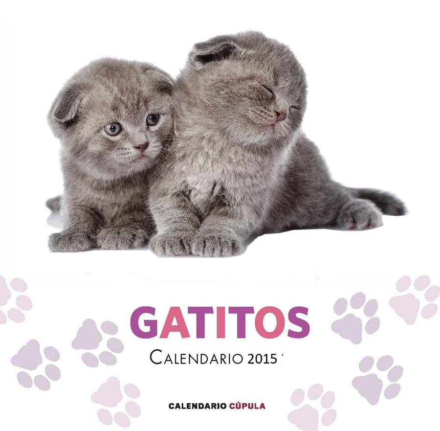 CALENDARIO GATITOS 2015 | 9788448019730 | Galatea Llibres | Llibreria online de Reus, Tarragona | Comprar llibres en català i castellà online