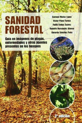 SANIDAD FORESTAL | 9788484764236 | COBOS SUAREZ, PABLO/HERNANDEZ ALONSO, RODOLFO/MUÑOZ LOPEZ, CARMEN/PEREZ FORTEA, VICTORIANO/SANCHEZ P | Galatea Llibres | Llibreria online de Reus, Tarragona | Comprar llibres en català i castellà online