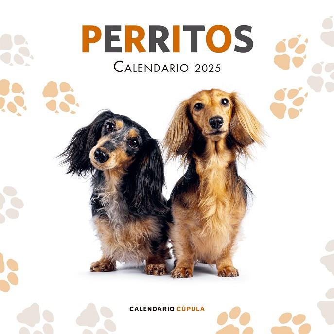 CALENDARIO PERRITOS 2025 | 9788448041649 | Galatea Llibres | Llibreria online de Reus, Tarragona | Comprar llibres en català i castellà online