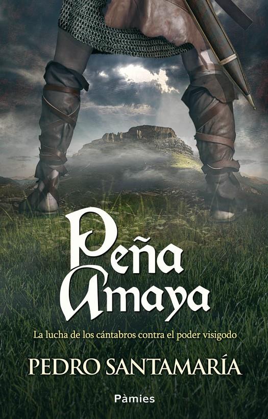 PEÑA AMAYA | 9788415433439 | SANTAMARÍA, PEDRO | Galatea Llibres | Llibreria online de Reus, Tarragona | Comprar llibres en català i castellà online