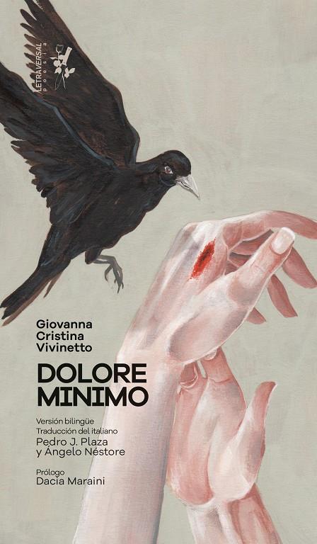 DOLORE MINIMO | 9788412276664 | VIVINETTO, GIOVANNA CRISTINA | Galatea Llibres | Llibreria online de Reus, Tarragona | Comprar llibres en català i castellà online