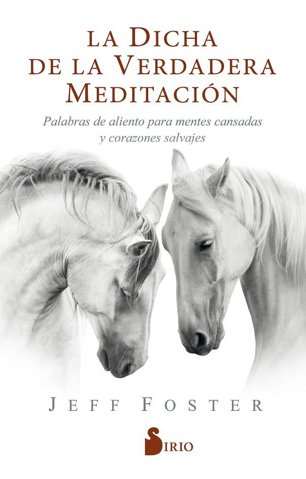 LA DICHA DE LA VERDADERA MEDITACIÓN | 9788418000522 | FOSTER, JEFF | Galatea Llibres | Llibreria online de Reus, Tarragona | Comprar llibres en català i castellà online